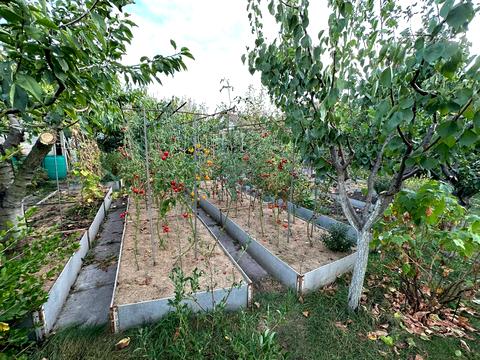 дом по адресу 3 Линия, 111