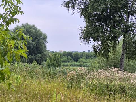 участок по адресу Гагарина ул.