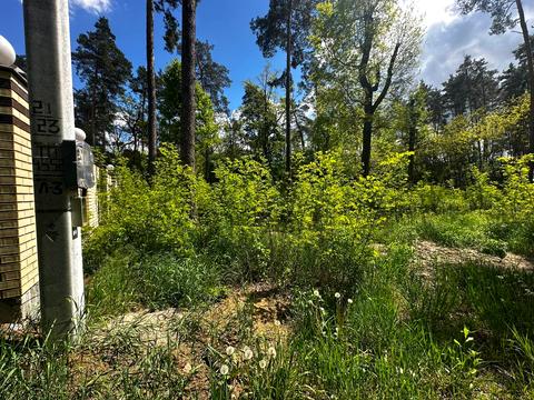 ділянка за адресою 