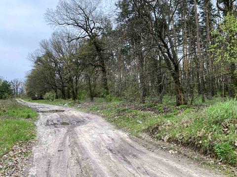 участок по адресу Максима Залізняка