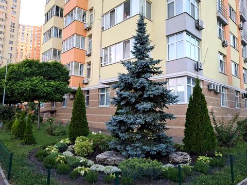 квартира по адресу Семьи Кульженков ул. (Дегтяренко Петра), 31-А