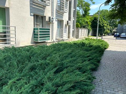 квартира по адресу Николая Боровского ул., 1/17