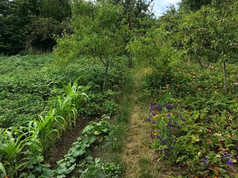 будинок за адресою Остапа Вишні вул.