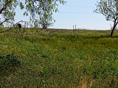 будинок за адресою с. Визирка, Перемоги, 41