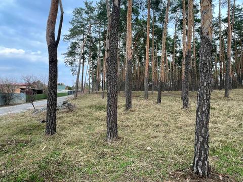 будинок за адресою Ліснича вул.