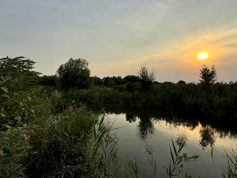ділянка за адресою Вишнева