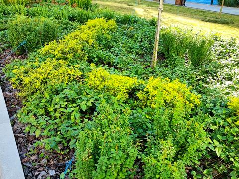 квартира за адресою Виноградна вул., 9