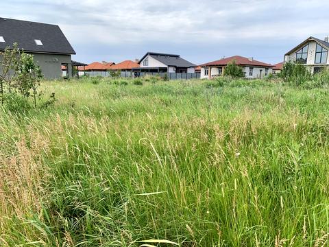 ділянка за адресою КМ Міжріччя