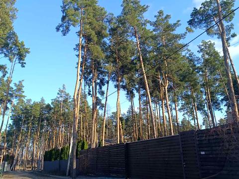 участок по адресу Марченко