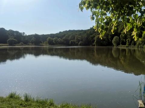 квартира за адресою Науки просп., 54