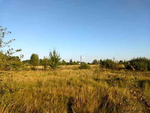 участок по адресу с. Рожны, Леоніда Каденюка, 75