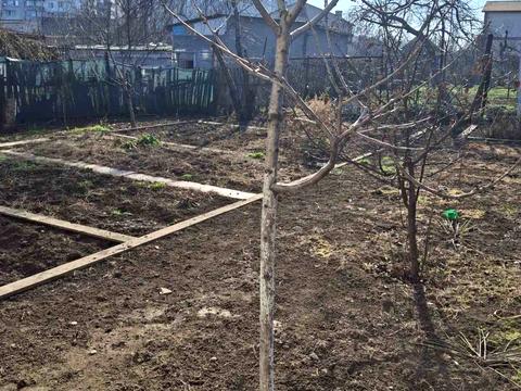 дом по адресу Агрономическая ул.
