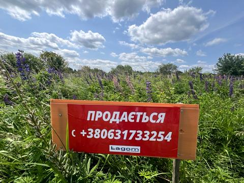 участок по адресу Демʼянів Лаз ул.