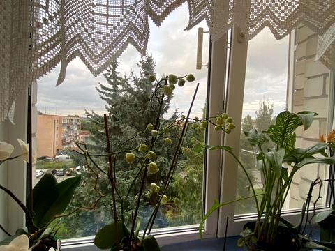 квартира по адресу Гарнізонна ул., 4
