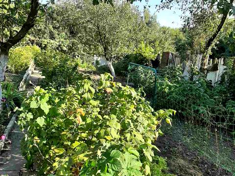 будинок за адресою Доватора