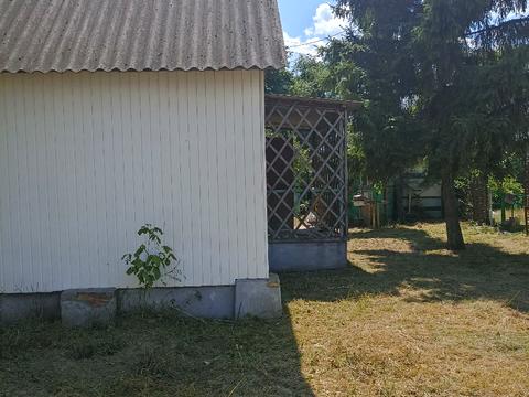 ділянка за адресою Маслівка вул.