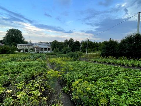 ділянка за адресою Левка Лук'яненка вул. (Декабристів)
