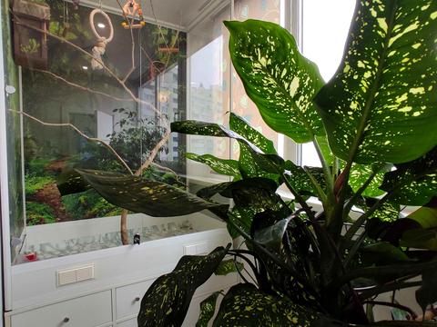 квартира за адресою Авіаконструктора Ігоря Сікорського вул. (Танкова), 1