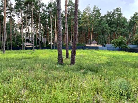 участок по адресу с. Романков, Сосновый Бор ул.