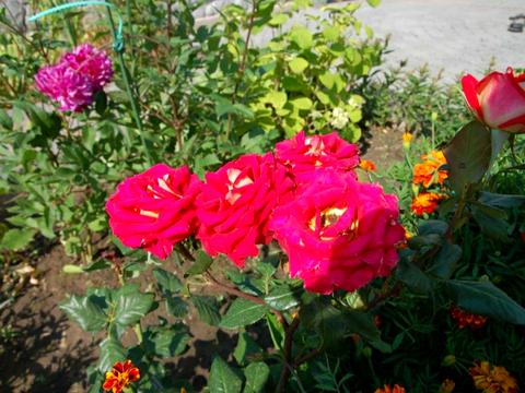 дом по адресу Героев Днепра ул.