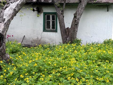 дом по адресу Садове товариство Академік, 3-Лінія, 103