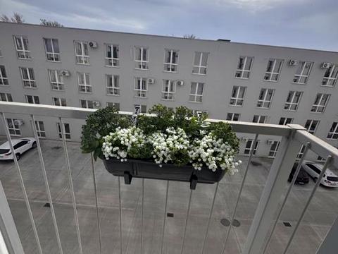 квартира по адресу Николая Боровского ул., 16