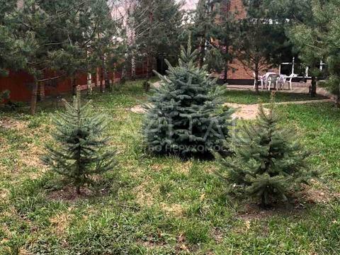 будинок за адресою Осокорки