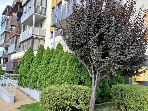 квартира по адресу Сергея Данченко ул., 4
