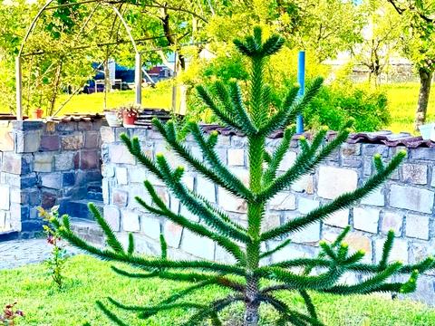 будинок за адресою Райдужна вул.