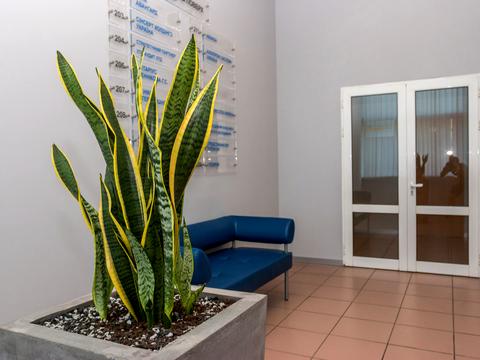 комерційна за адресою Шолуденка вул., 3