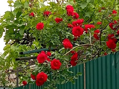 будинок за адресою Лесі Українки вул., 72