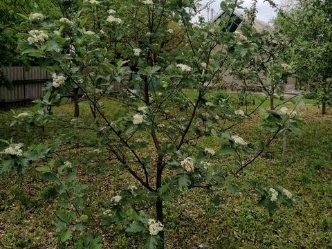 дом по адресу Залізнична, 39