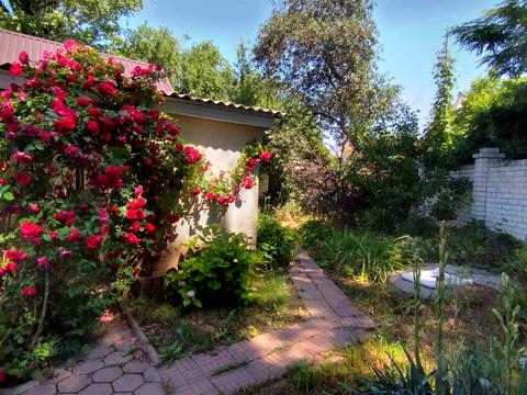 будинок за адресою Дениса Максишка вул. (Марії Демченко)