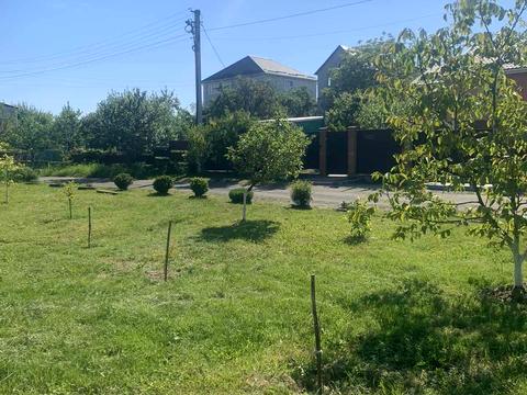 ділянка за адресою Берегова