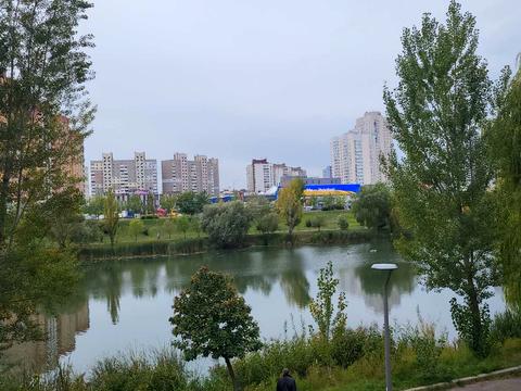 квартира за адресою Драгоманова вул., 31-А