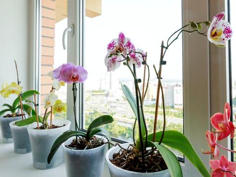 квартира за адресою Срібнокільська вул., 12