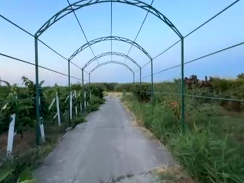 дом по адресу Дністровська, 9