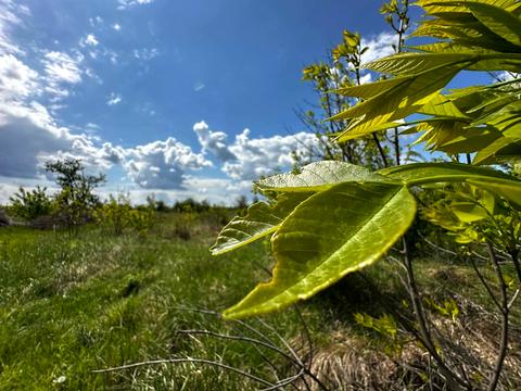 участок по адресу 