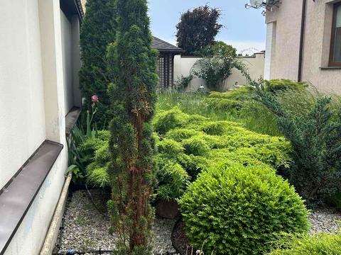 будинок за адресою Харків, Вишневий пров.