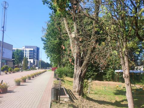 участок по адресу Івана Франка ул.