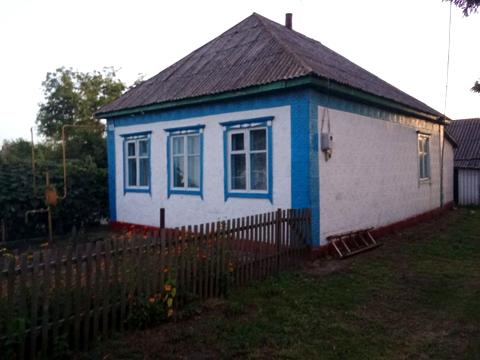 дом по адресу пгт. Драбов, Незалежності