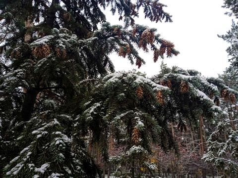 квартира по адресу Воскресенская ул., 14-Д