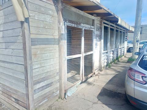 комерційна за адресою Ш. Руставелли, 55