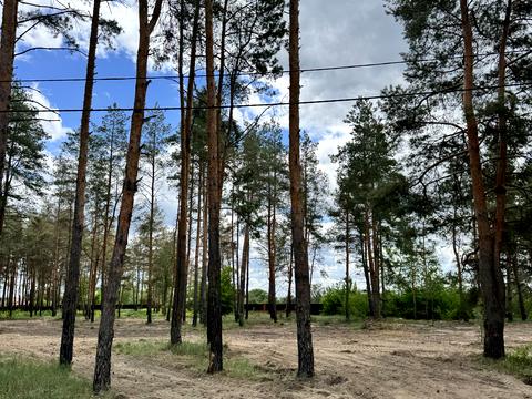 ділянка за адресою с. Піщанка, Зелена
