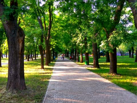 квартира за адресою Середньофонтанська вул., 53/55