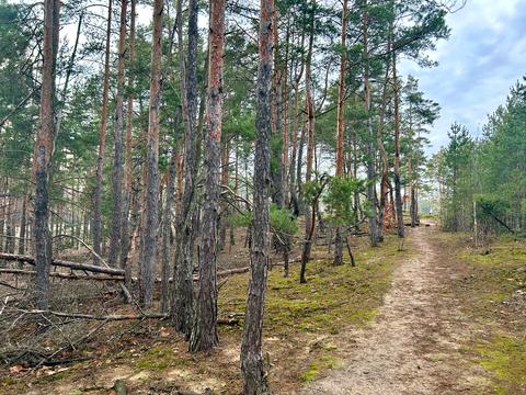 участок по адресу Кільцева