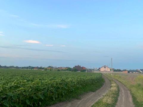 ділянка за адресою Царське село