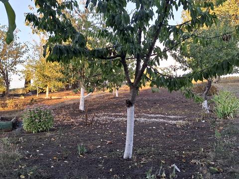 будинок за адресою Леоніда Кравчука, 47