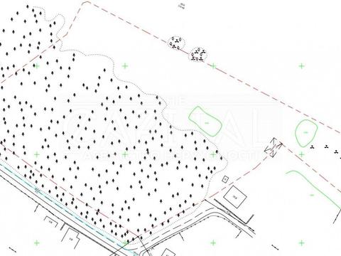 ділянка за адресою с. Ходосівка, Центральна