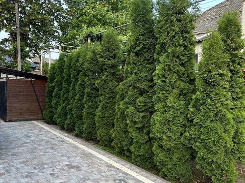 будинок за адресою Степана Разіна вул.